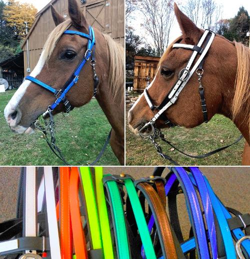 BRIDLE: Beta Halterbridle with Colored Overlay and Over The Poll Bit Hanger LARGE