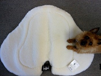 Toklat Woolback Cutback Endurance Pad MAIN