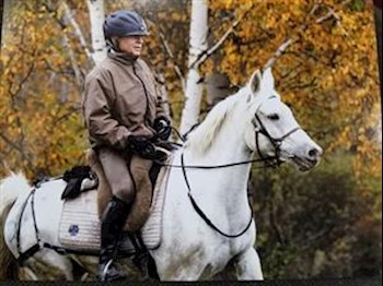 Biothane Saddle Breeching LARGE