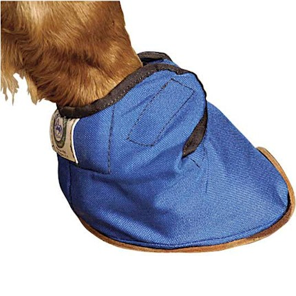 Bluegrass Equine Slipper THUMBNAIL