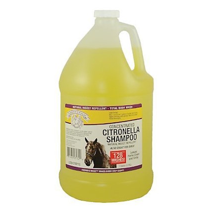 Citronella Shampoo MAIN