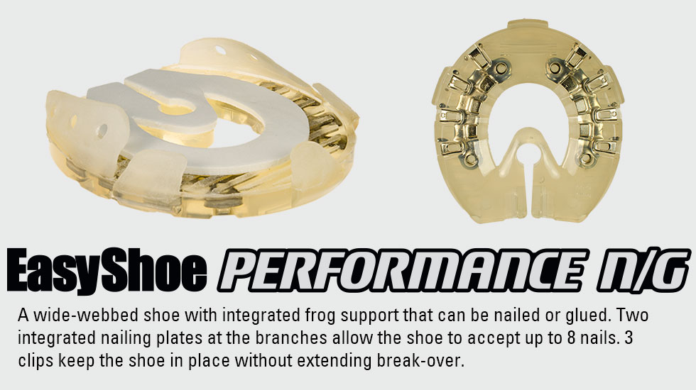 EasyShoe Performance N/G MAIN