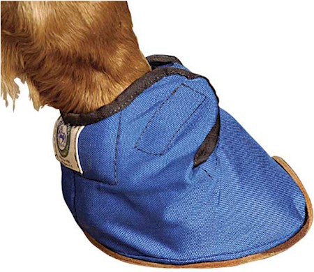 Bluegrass Equine Slipper MAIN