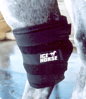 MacKinnon Ice Horse Hock Wrap MAIN