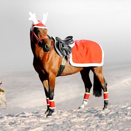 Holiday Riding Rug THUMBNAIL