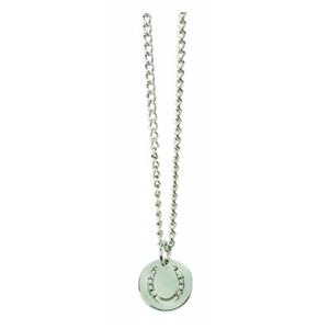 Horseshoe Pendent LARGE