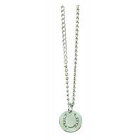 Horseshoe Pendent MAIN