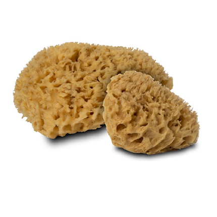 Natural Sea Sponge THUMBNAIL