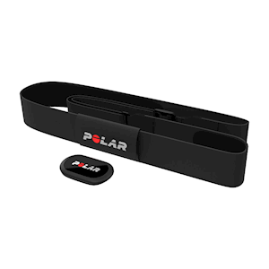 Polar Equine Heart Rate Monitor for Riding LARGE