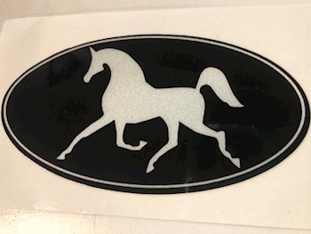 Reflective Helmet Decals THUMBNAIL
