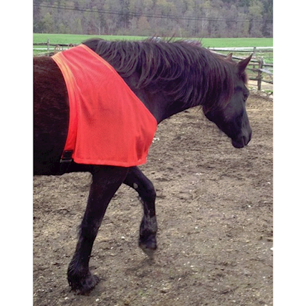 Safe Turn Out Vest for Horses THUMBNAIL