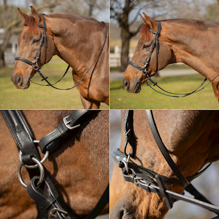 Equinavia Saga Bitless Bridle LARGE