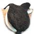 Sheepskin Full English Saddle Cover THUMBNAIL