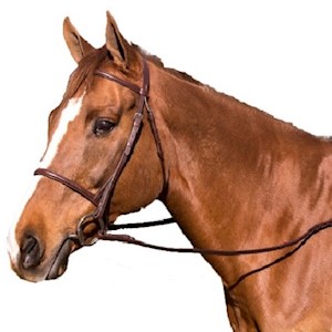 Plain Raised Bridle LARGE