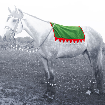 Holiday Elf Saddle Pad Cover THUMBNAIL