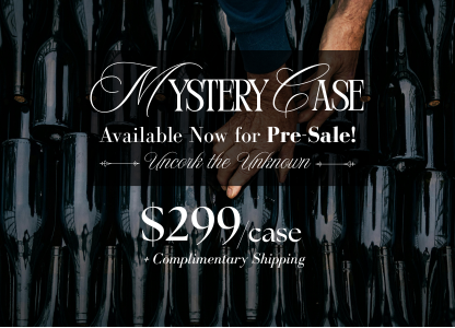 $299 Mystery Case THUMBNAIL