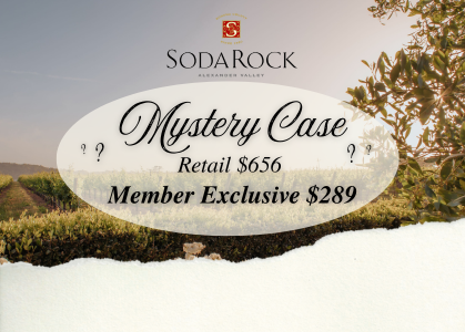 $289 Mystery Case MAIN