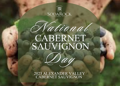 $289 Alexander Valley Cab Case LARGE