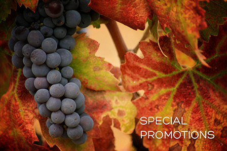 Email Promotions