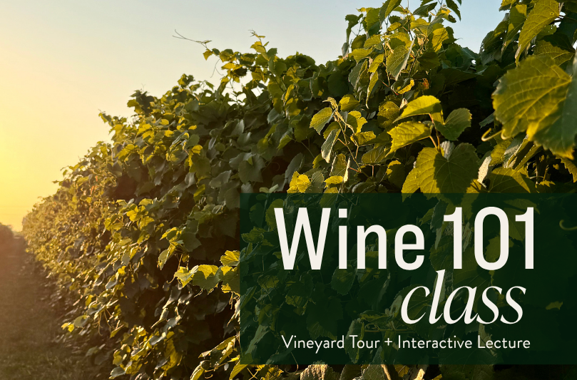 St. James Winery Wine 101 MAIN