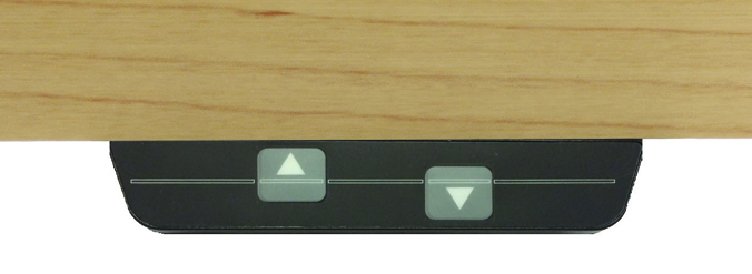 Basic Switch LARGE