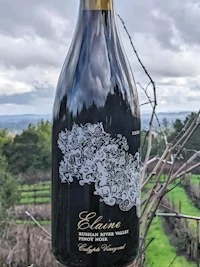 Elaine Pinot Noir 2019 MAIN