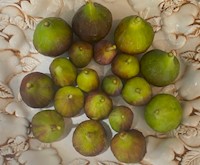 Stuffed and Roasted Figs - Dine In MAIN