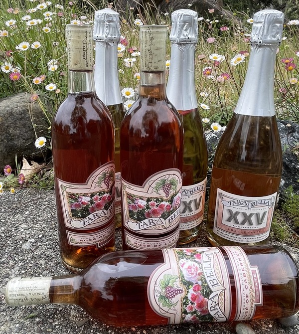 Rose April & May - 6 pack LARGE