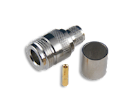 11-14T-RP-TGN MAIN