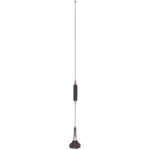 A150 LARGE