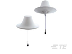 CMS38606P-30NF THUMBNAIL