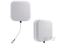 PAV69278PO-FNF MAIN