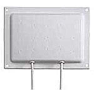 S2406DSPA36RTN LARGE