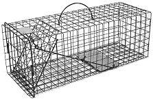 Skunk - Galvanized Metal Live Animal Trap with 1 x 1 Wire Grid LARGE