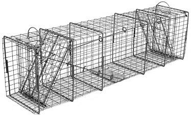 Raccoon/Cat/Rabbit/Lg Ground Hog Galvanized Metal Live Animal Trap with 1 x 2 Grid & Two Trap Doors THUMBNAIL