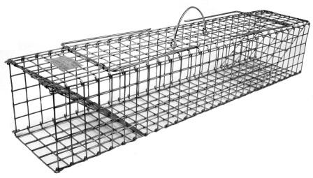 Collapsible Colony Trap - Muskrat Size (28" x 5" x 5") Folds Flat THUMBNAIL