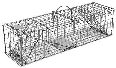 Squirrel / Muskrat /Mink Galvanized Metal Collapsible Double Door Live Animal Trap w/ 1x1 Wire Grid THUMBNAIL