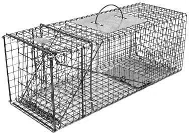 Feral or Domestic Cat / Rabbit Galvanized Metal Collapsible Live Animal Trap with 1 x 1 Grid THUMBNAIL