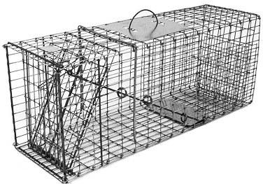Large Raccoon / Large Woodchuck Galvanized Metal Collapsible Live Animal Trap with 1 x 2 Grid THUMBNAIL