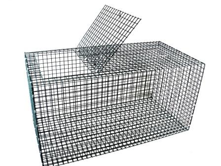 Coated Rigid Fish Live Box for Salt Water - Plastic Coated Galvanized Steel Mesh (38" x 18" x 18") THUMBNAIL