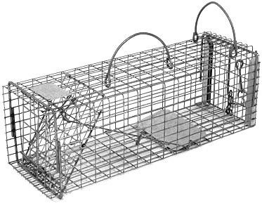 Chipmunk / Rat Galvanized Metal Live Transfer Animal Traps with 1/2" x 1" Wire Grid LARGE