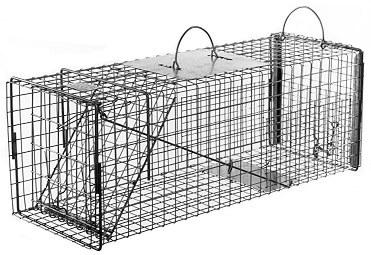Feral or Domestic Cat / Rabbit / Raccoon Galvanized Metal Live Transfer Animal Trap with 1 x 1 Grid LARGE
