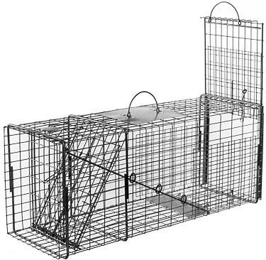 Medium Feral Dog Galvanized Metal Live Animal Trap with 1 x 2 Grid