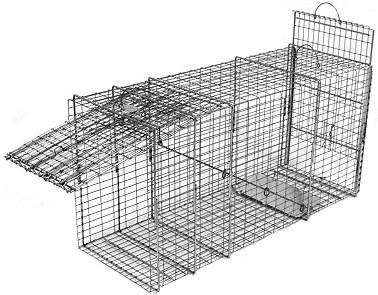 Bobcat / Coyote/ Small Feral Dog Galvanized Metal Live Transfer Animal Trap  with 1 x 2 Grid