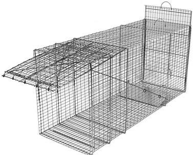 Bobcat / Coyote/ Small Feral Dog Galvanized Metal Live Transfer Animal Trap  with 1 x 2 Grid