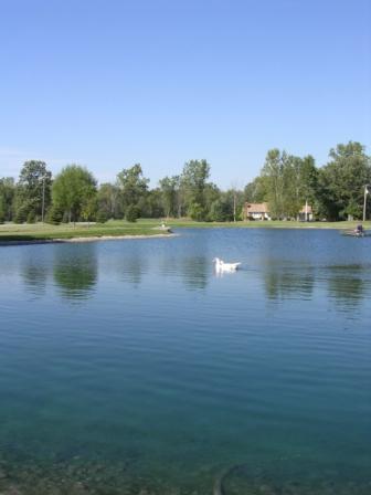 ALGAE & PONDWEED CHEMICAL CONTROL