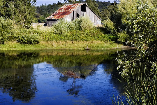 SUPPLIES FOR EARTH BOTTOM PONDS & LAKES