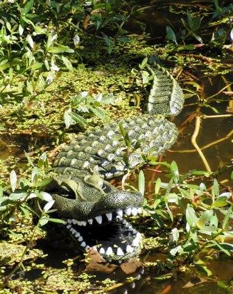 Aquascape 34" Floating Alligator Decoy for Water Gardens & Pond Predator Control THUMBNAIL