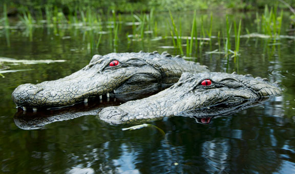 22" & 28" Alligator Head Decoy Kit with Reflective Eyes For Canada Geese & Blue Heron Control LARGE