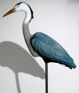 Blue Heron